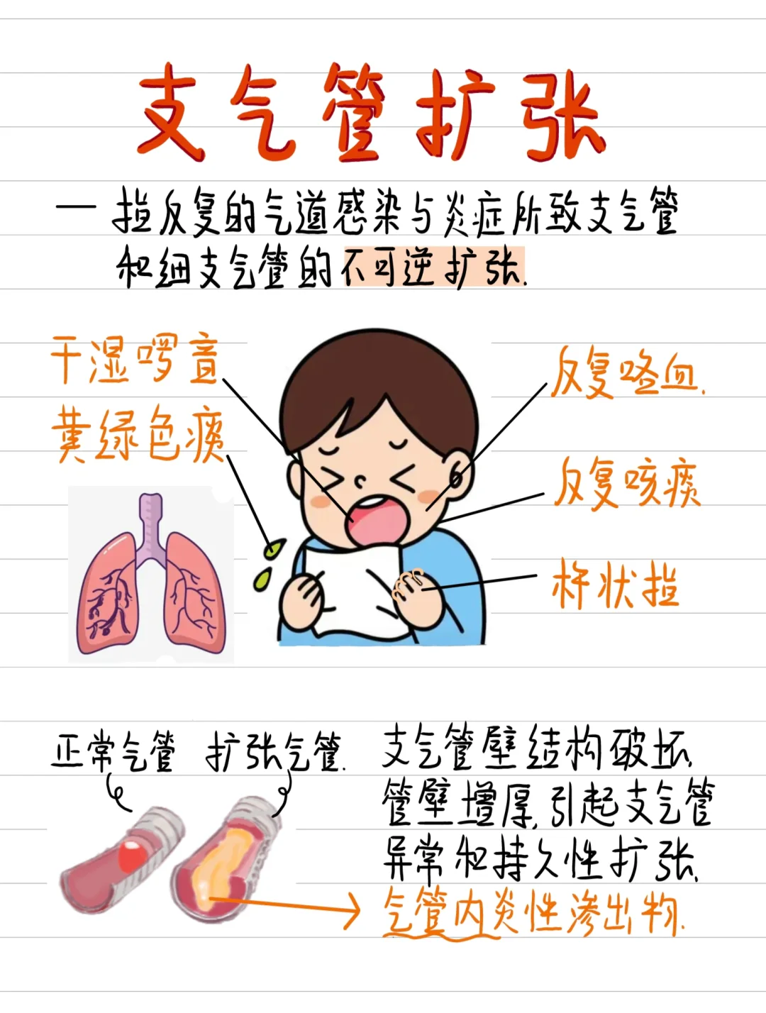 医学生笔记✍️-支气管扩张！