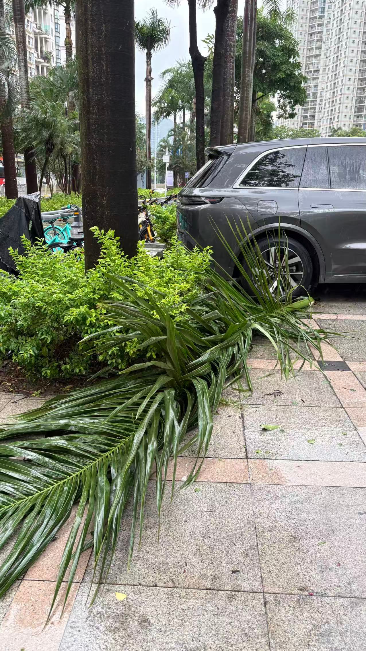 深圳台风预警升级至红色台风红霞严重影响深圳风大雨急，朋友们暂时别出门，请注意安全