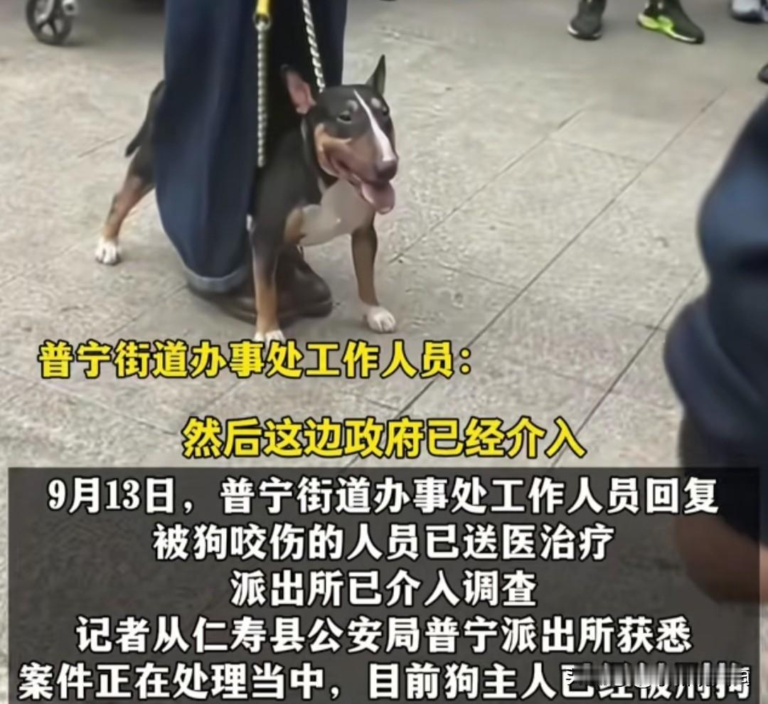 又出现烈性犬严重伤人事故。养狗乱像该如何纠偏呢？我认为关键点在人不在狗，狗只不过
