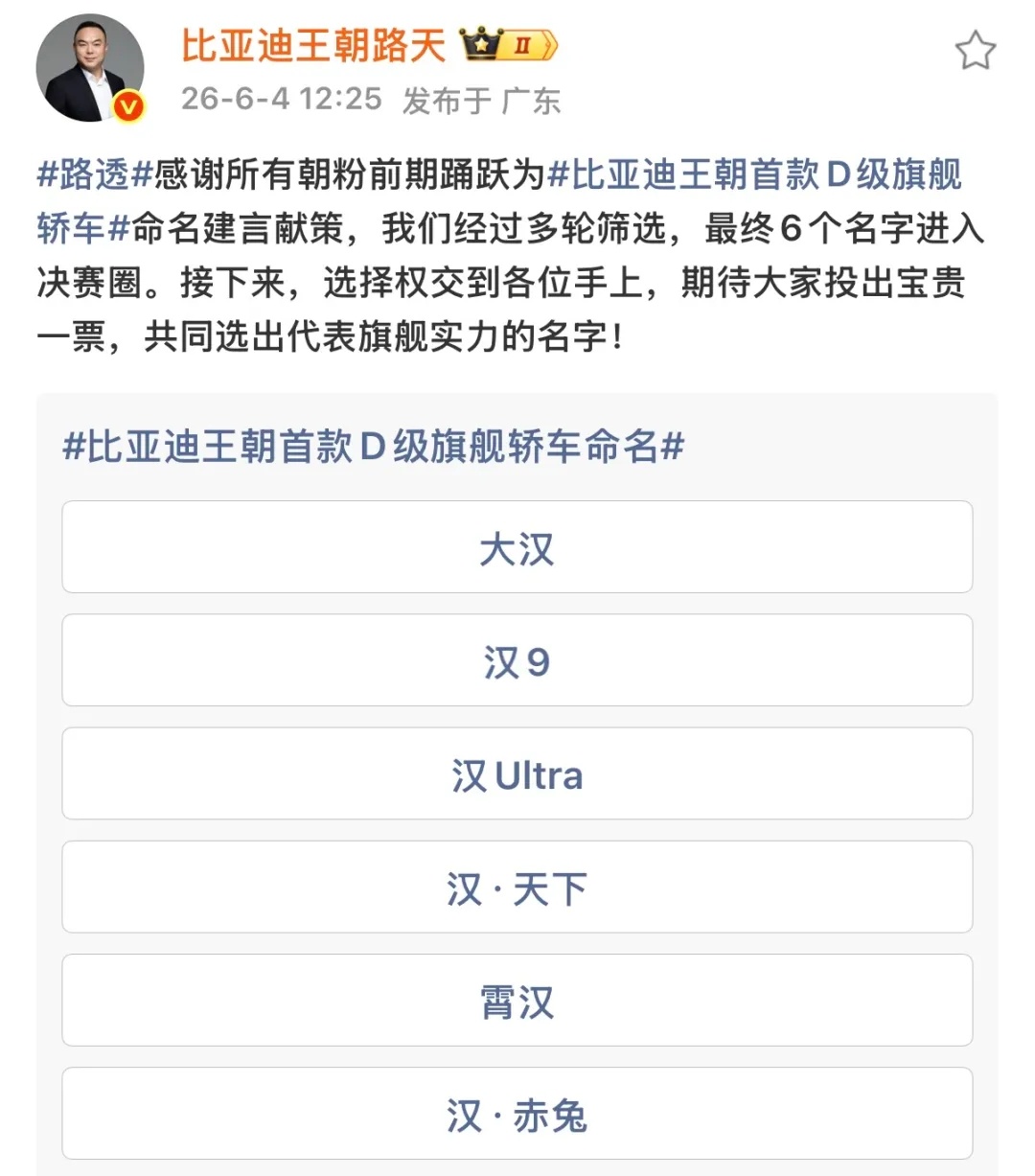啊？比亚迪大汉可能不叫大汉快选一个