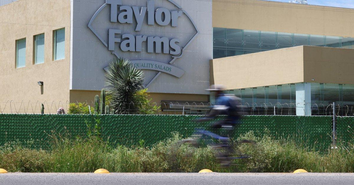 [To learn English] 
Taylor Farms on Sund