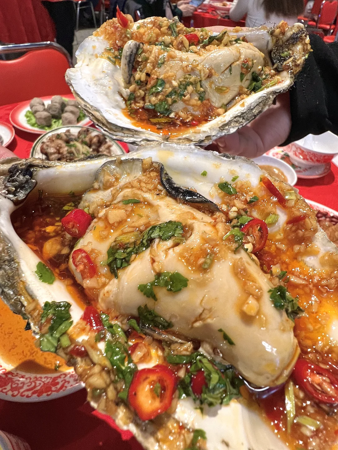 懂事的人已经给npy安排上了！！！