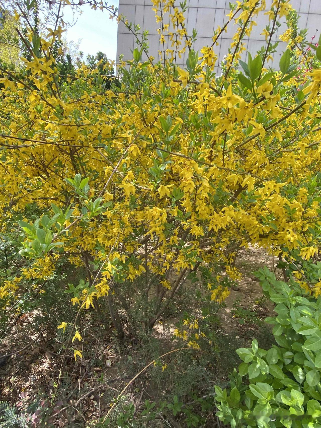 AI时代，普通人的副业机会是变多了还是变少了？

先说结论：机会非但没少，反而对