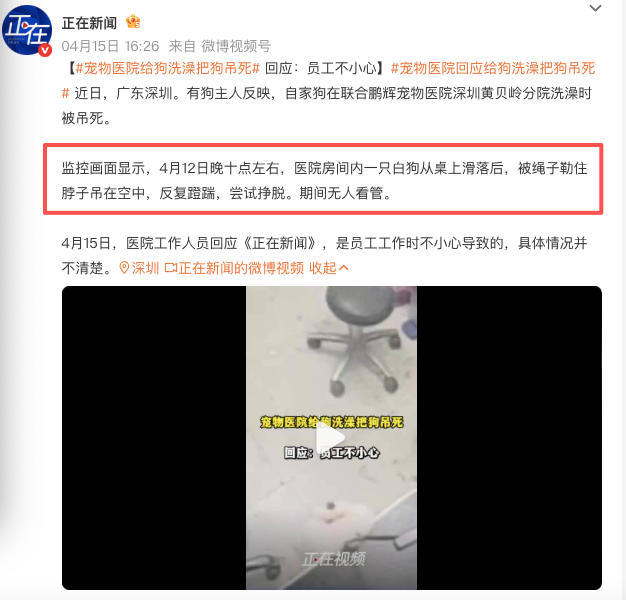 宠物医院给狗洗澡把狗吊死 现在养宠物的人越来越多了很多养宠物的人都把宠物当成家人