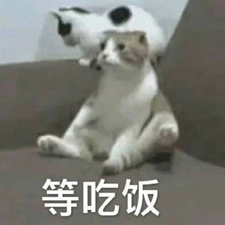 我真的笑昏了吧老爸从旁边悠悠飘过可能还堵车在那停了会儿果儿0个关注一心只坚定等待
