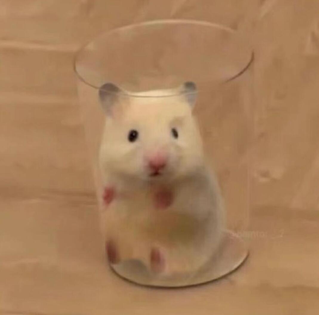 鼠鼠 