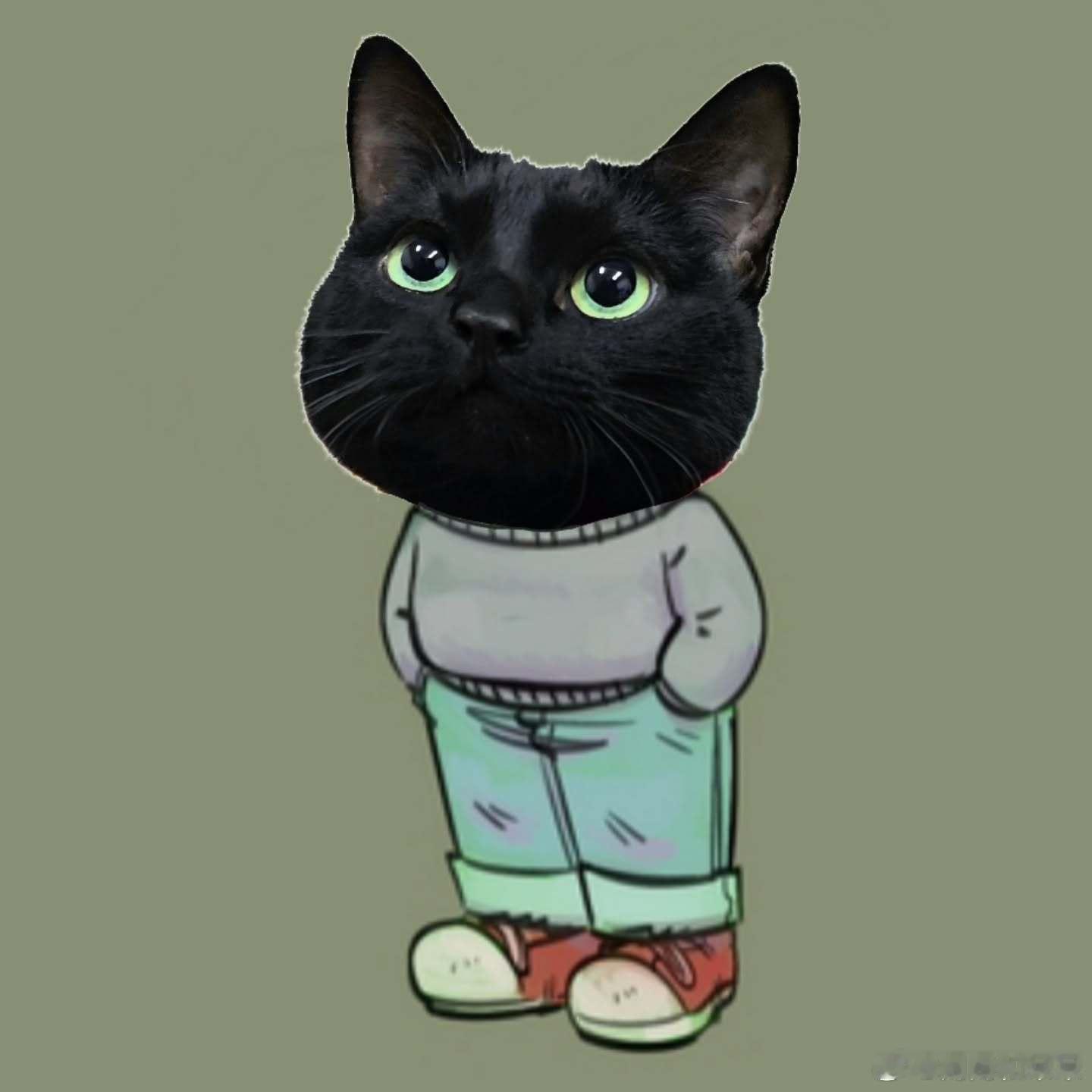 黑猫帅哥🐈⬛cr：nOkttu..i 