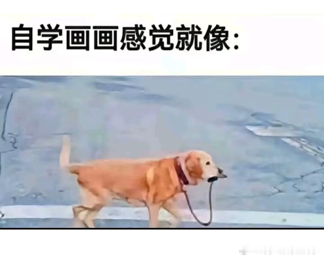 画的比长的还像照片🖌画师笔下细节细腻到惊人，光影五官高度还原，写实质感直接碾压