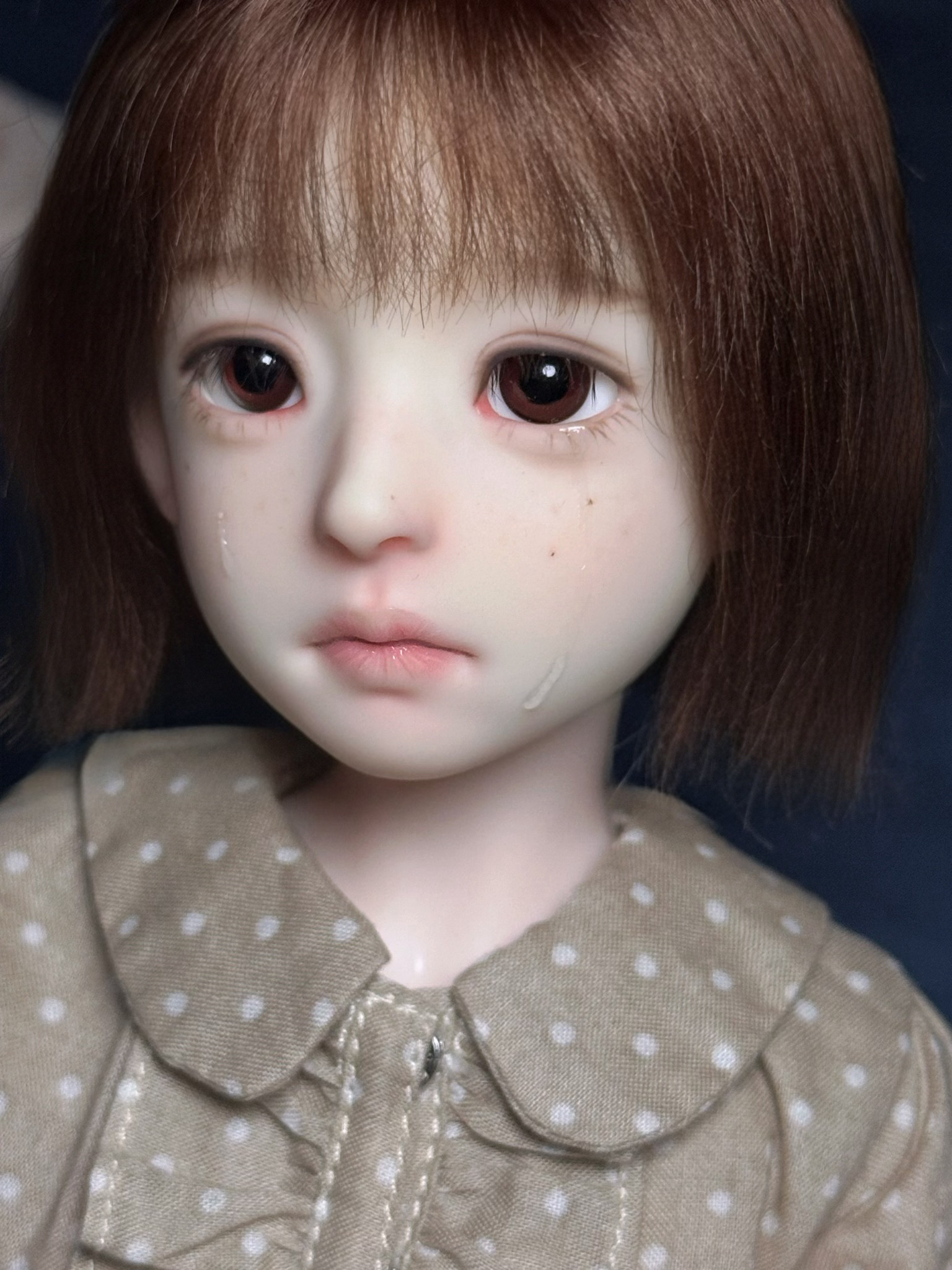 并蒂花 
