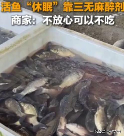 太恶心了，央媒曝光活鱼内幕！
3月23日央媒报道，中国多地水产市场为方便运输，违