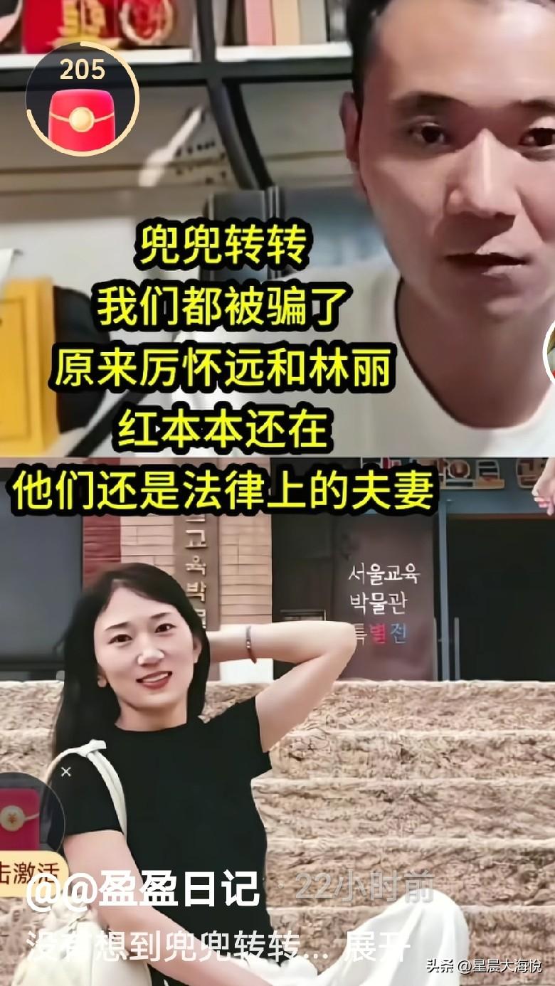 兜兜转转，我们都被骗了
原来厉怀远和林丽红本还在
他们还是法律上的夫妻。

本来