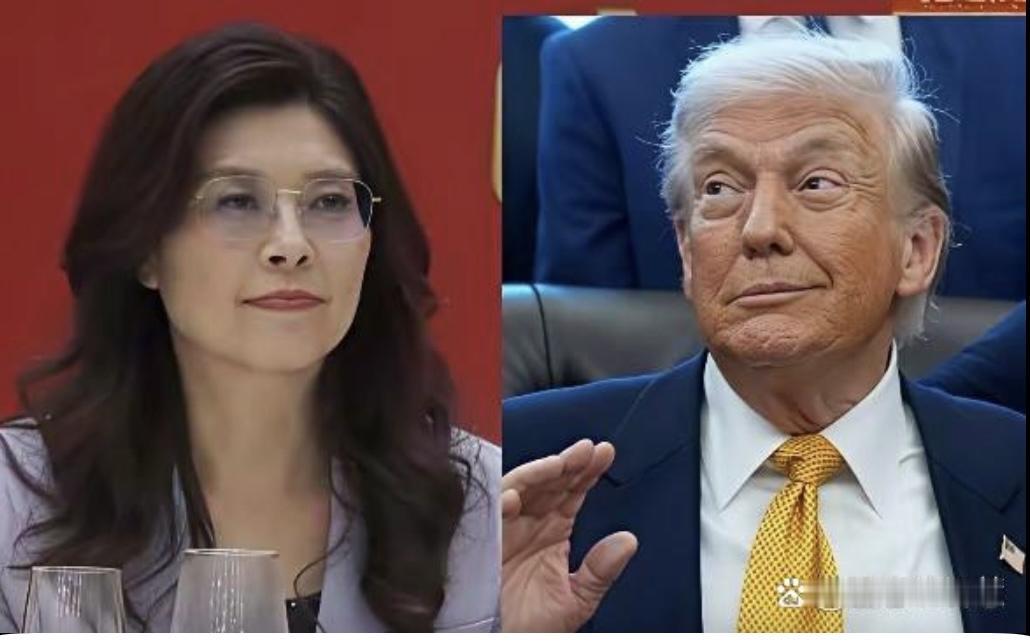 郑丽文摊牌！访美盼见特朗普，多重考量引热议

国民党主席郑丽文近期就6月访美行程