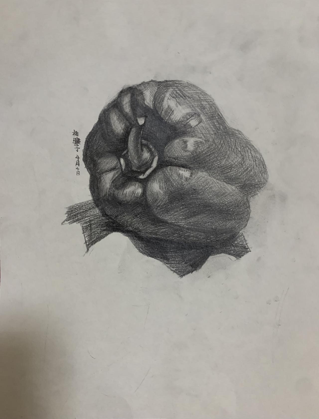 再显摆我孙子的素描画
今天收拾废纸，又发现孙子的两张画，像样的作品老师存档了，这