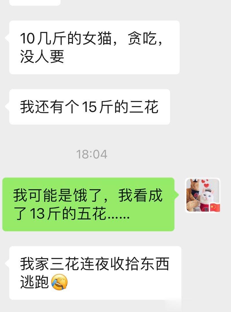 兽医小课堂：《不要在杨医生饿的时候跟她聊天》 ​​​