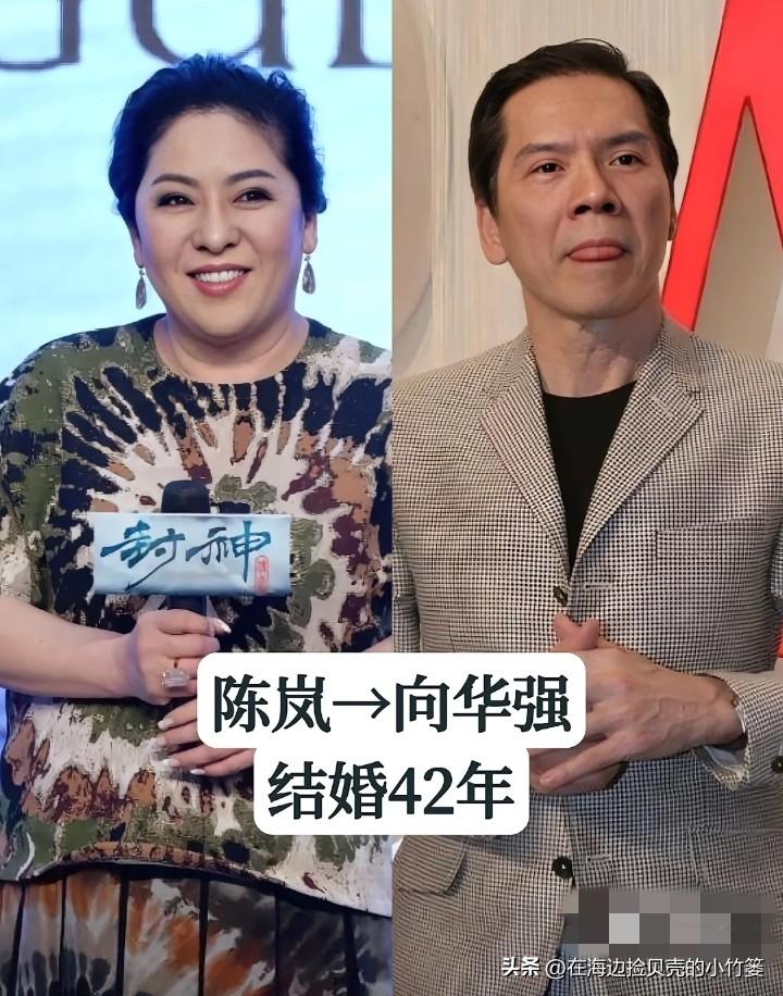 荧幕上他们是演技精湛的艺术家，生活里是相守半生的伴侣。
1. 陈岚 & 向华强｜