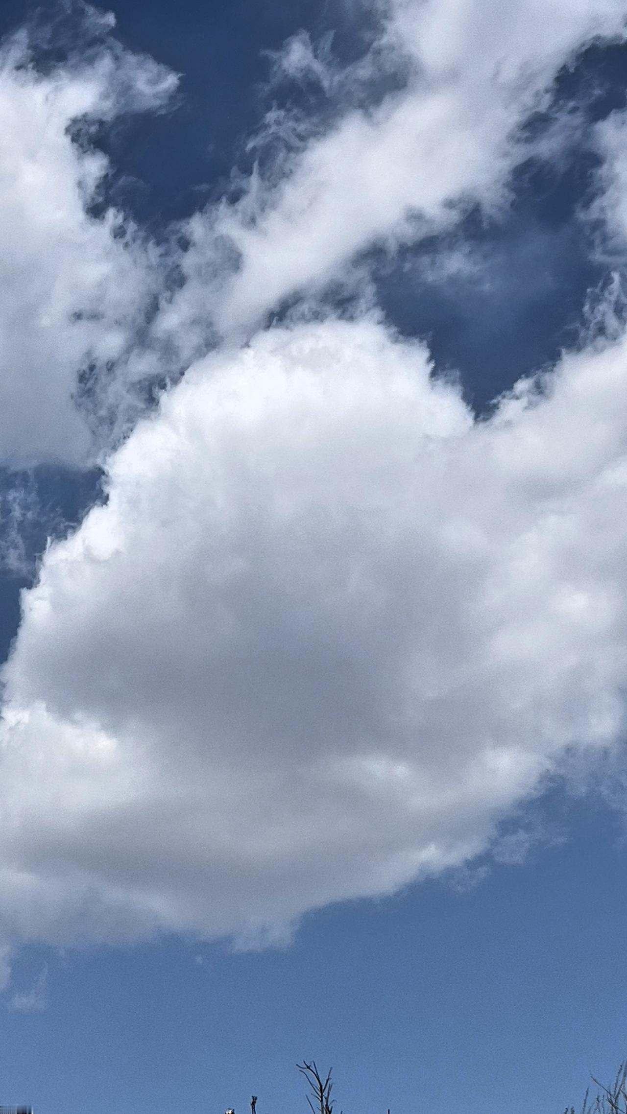 北京的天气真好，阳光明媚，蓝天白云，自由飞翔，让人心旷神怡。春日生活打卡季