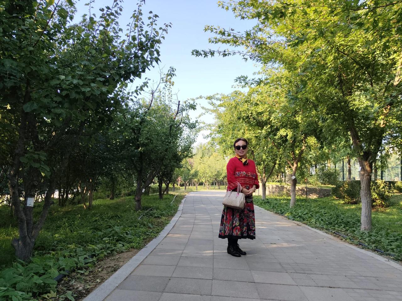 #一句诗记录秋日生活#一句诗记录秋日生活。秋高气爽心情愉悦，天天开心快乐永远。锦