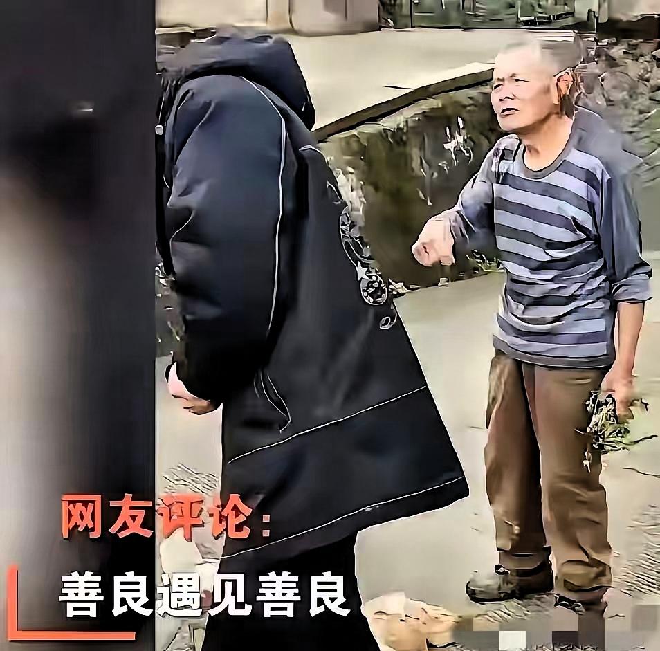 “太感人了！”重庆，一位年轻人下乡办事，在狭窄的村路上不慎压到了老乡家的土鸡。事