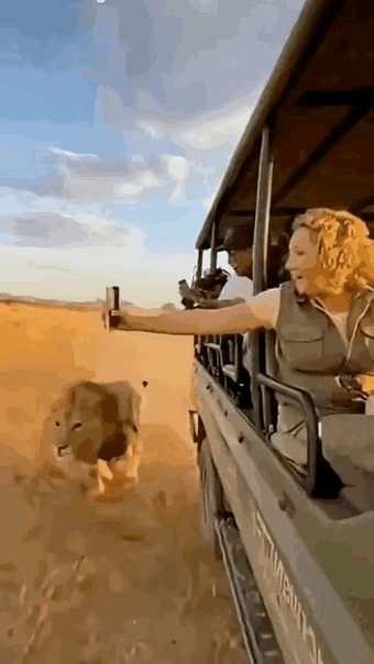 这画面100%是AI生成的，这次我是看出来了，因为做的有些太假，违背常识，一看就