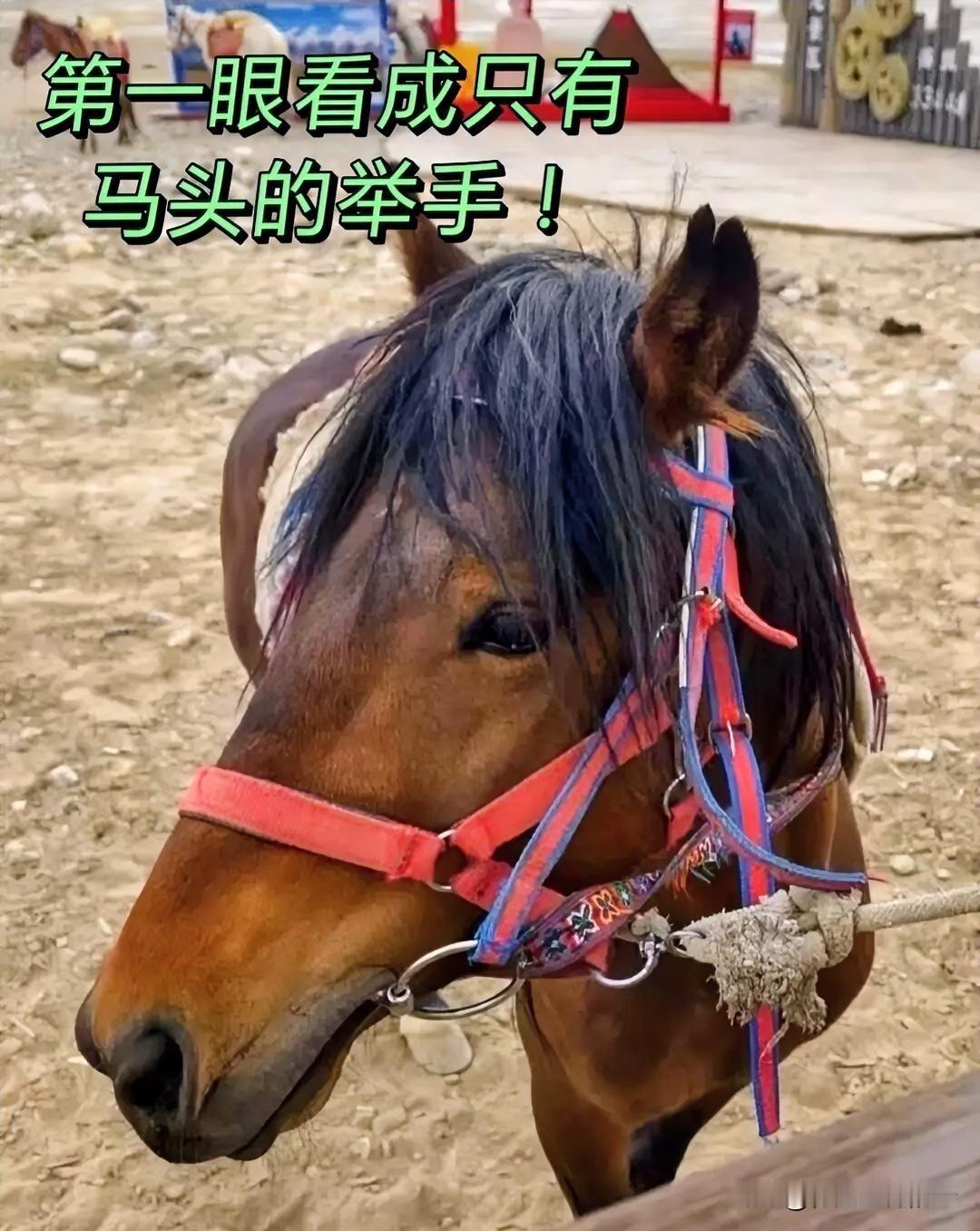 这个就角度拍照，真的有意思