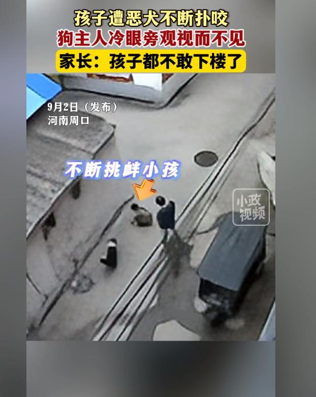 9岁男孩被撕咬，狗主人在一旁冷眼相观！9月2日河南周口，一名男孩在楼下玩耍时突然