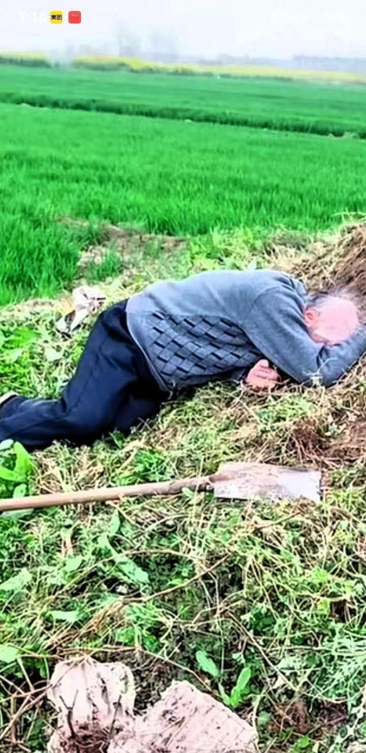 泪目！年迈的父亲执意要去给父母上坟，祭拜完后，直接趴在坟前失声痛哭。

这段朴素