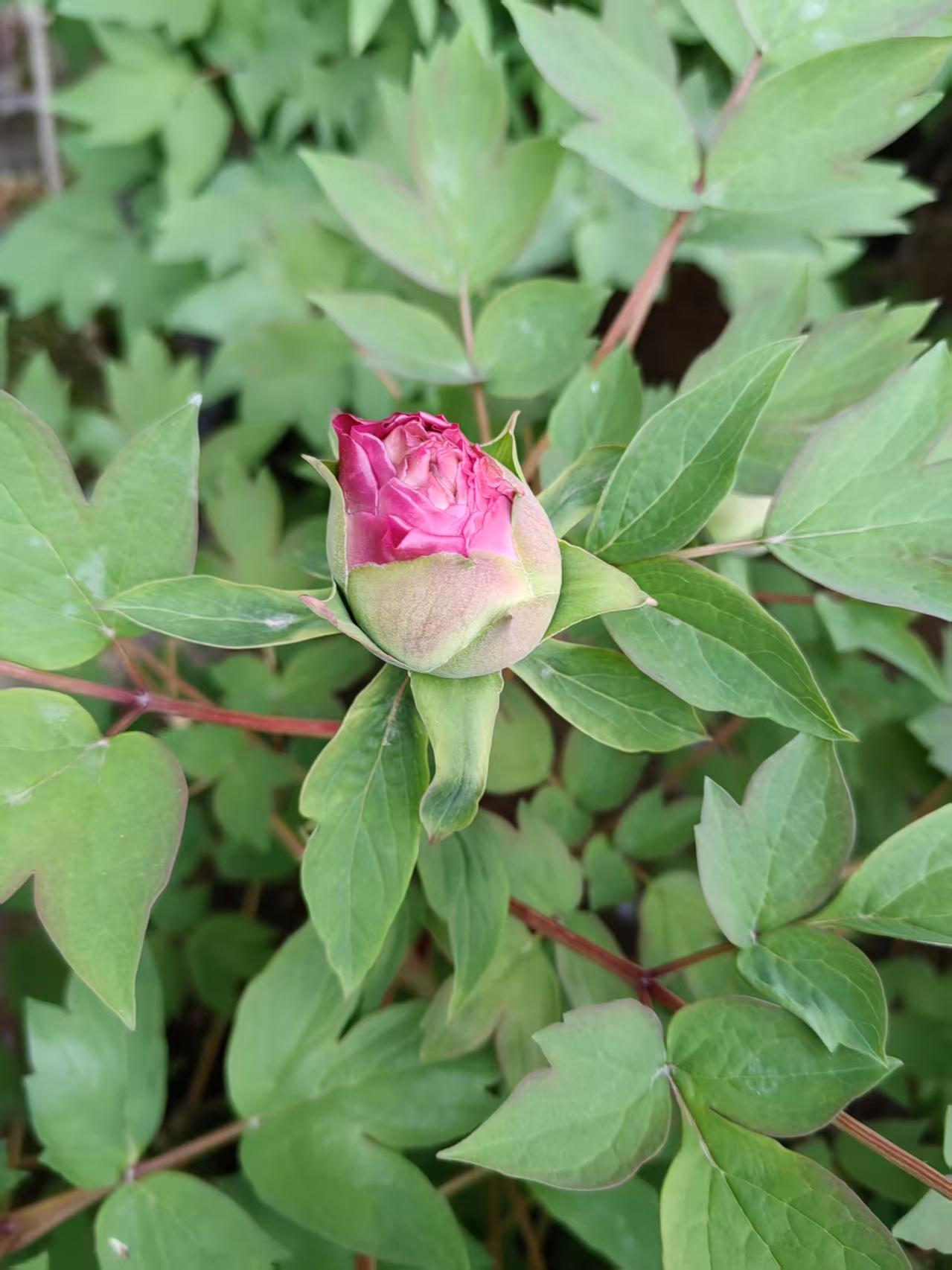 教师资格证
教师资格证，是当下进入准教师行列的必备证件。
我的早年间的一位学生，