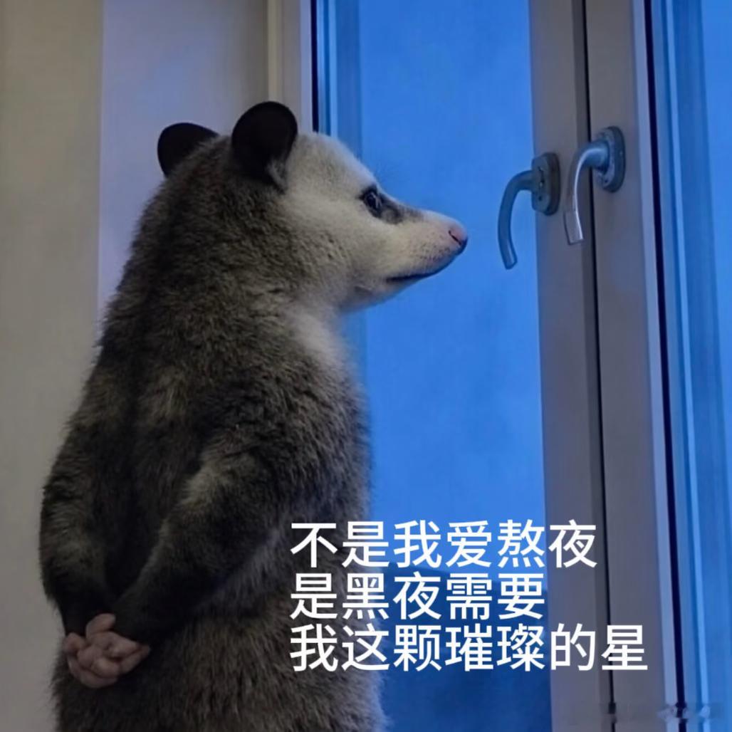 长期熬夜相当于给人生调休了很多人熬的其实不是夜，是寻找一个能喘息的机会，能放松的