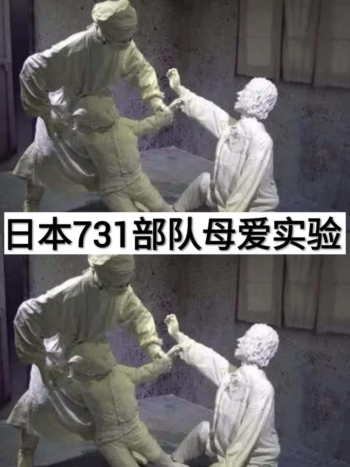 这些罪永远不能忘！
谁看《731》能不揪心啊！
镜头里侵华日军七三一部队做的那些