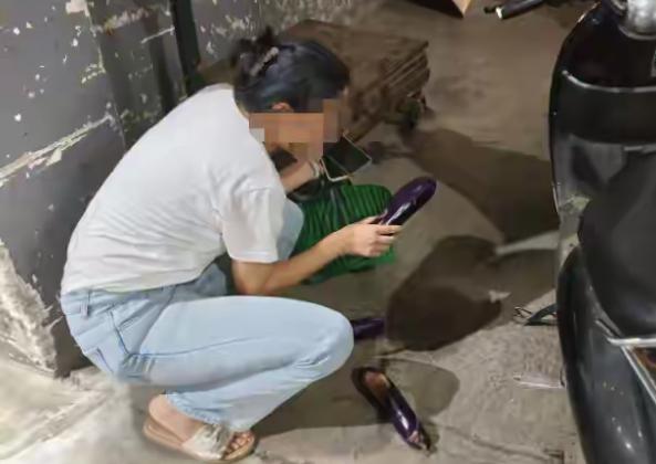 我说网上怎么有那么多，
拣菜视频，
而且次次都能捡到好菜，
据市场商户透露……
