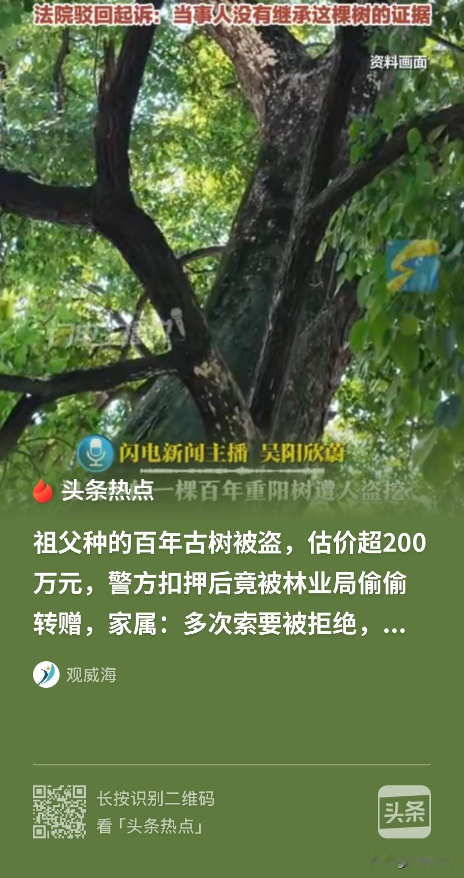海南，一棵价值200余万元的古树被盗，事发后，古树的所有人报了警，很快警方就抓获