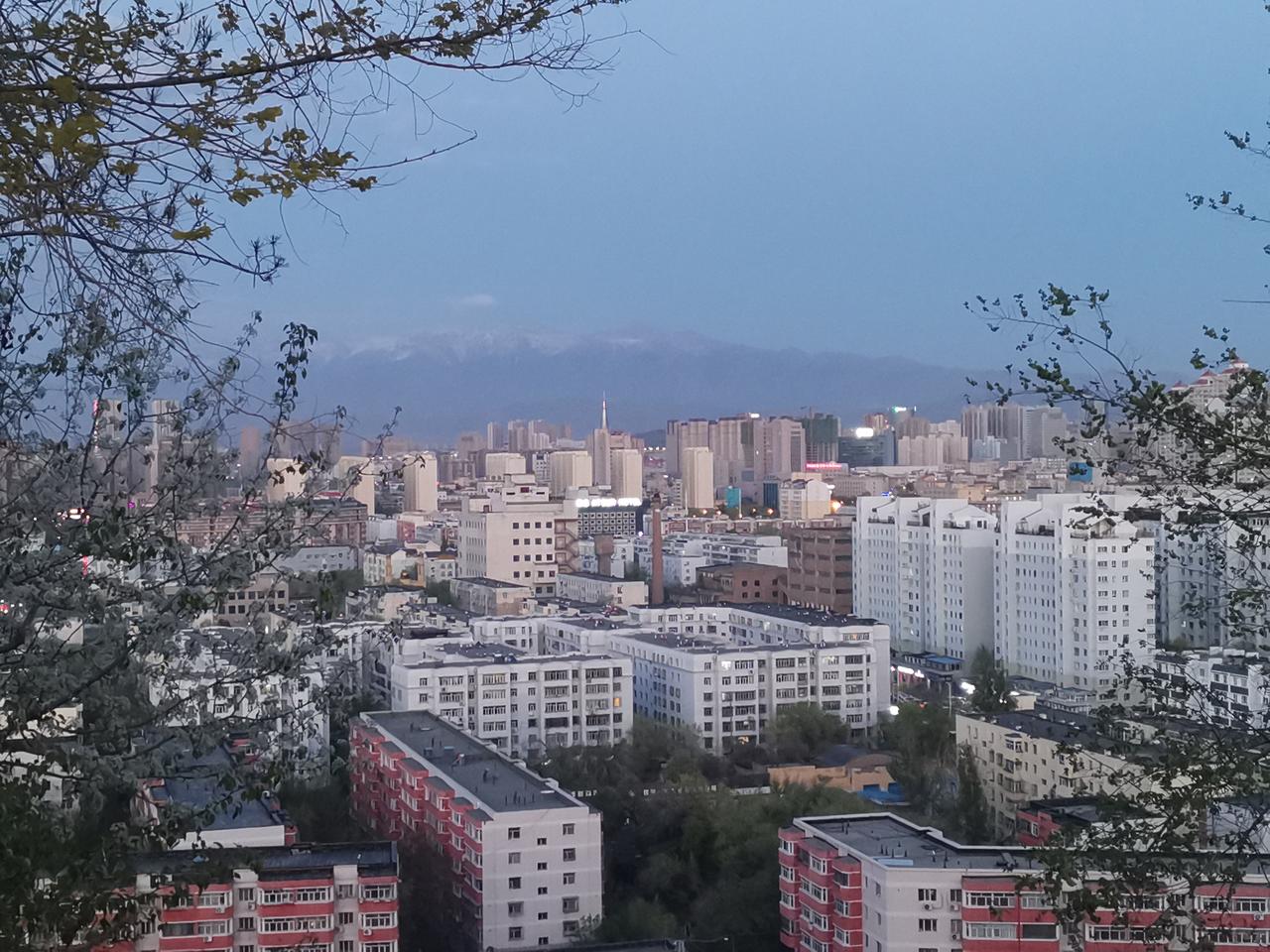 到户外去走走吧！

昨天晚上吃完饭，没有躺在沙发上刷手机，而是决定去鲤鱼山公园走