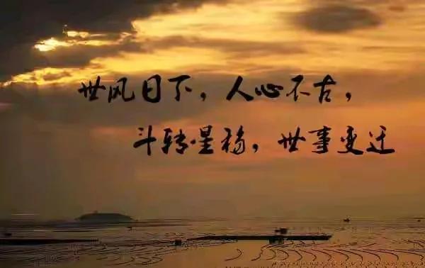 东莞落水女司机没人施救，最终悲剧！非常令人惋惜！其实现场没有人施救，可能有以下几