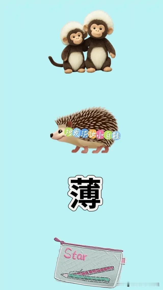 小猴子 刺猬🦔 薄字 笔袋，打一成语—————
图中有一只猴妈妈和小猴子
还有