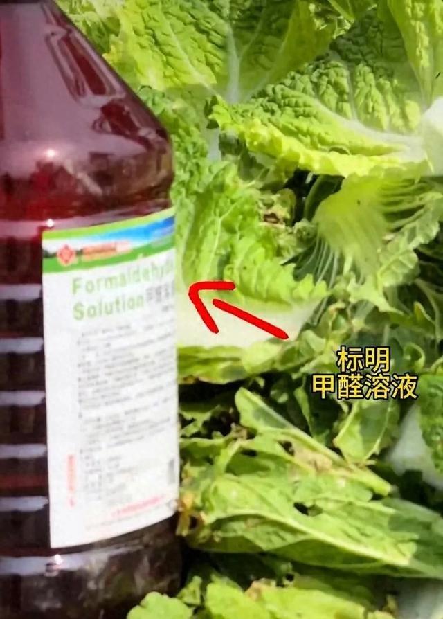 甲醛白菜事件，食品安全真容不得半点侥幸
        河北张家口曝出白菜装车前