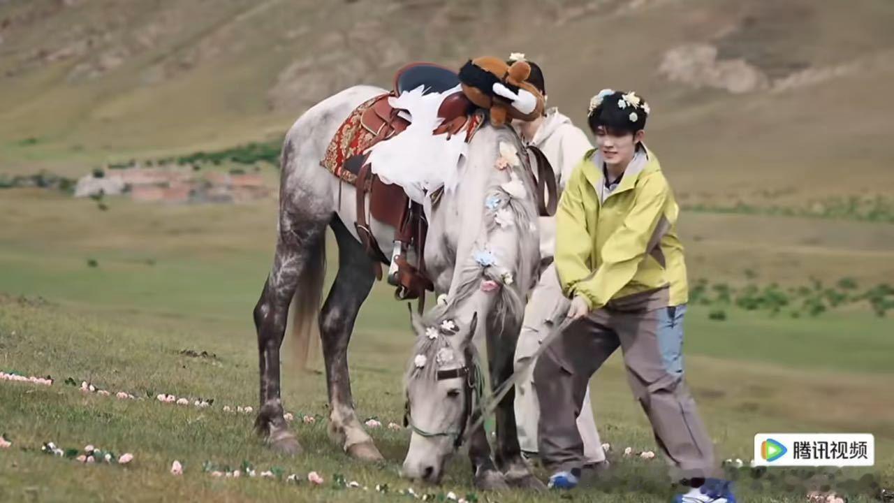苏新皓差点被马顶飞一路向海的少年 苏新皓拉马做任务，马没吃上草就生气了，冲他撒气