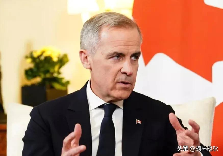 俄乌战争还要持续多久
加拿大准备出手了！就在刚刚，加拿大又做出这一重大决定！
