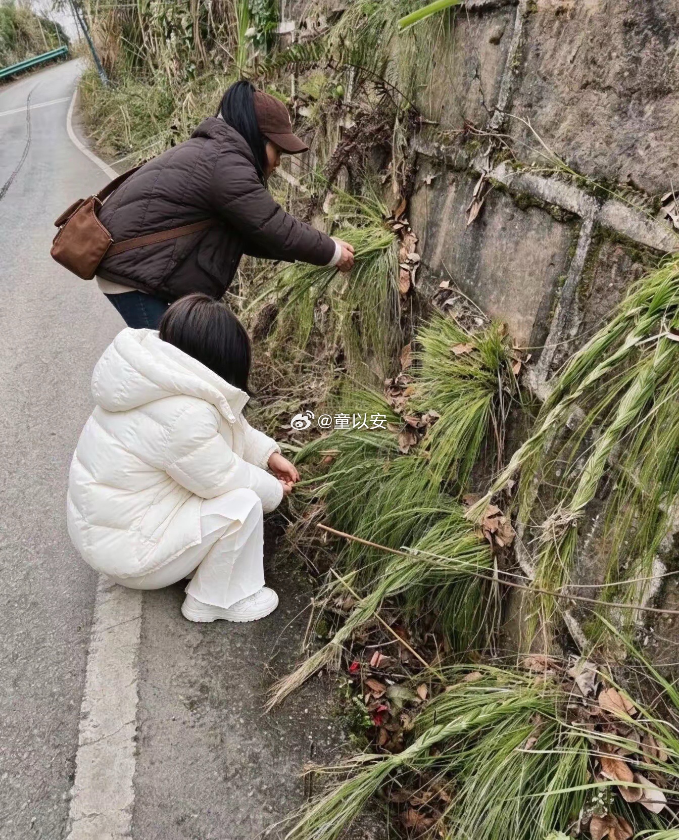 我应该加入，还是应该制止？[嘻嘻][嘻嘻][嘻嘻] ​​​