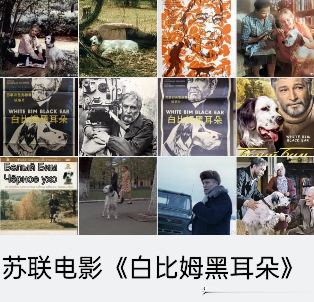 微杂志〔《白比姆黑耳朵》名家花鸟图览〕