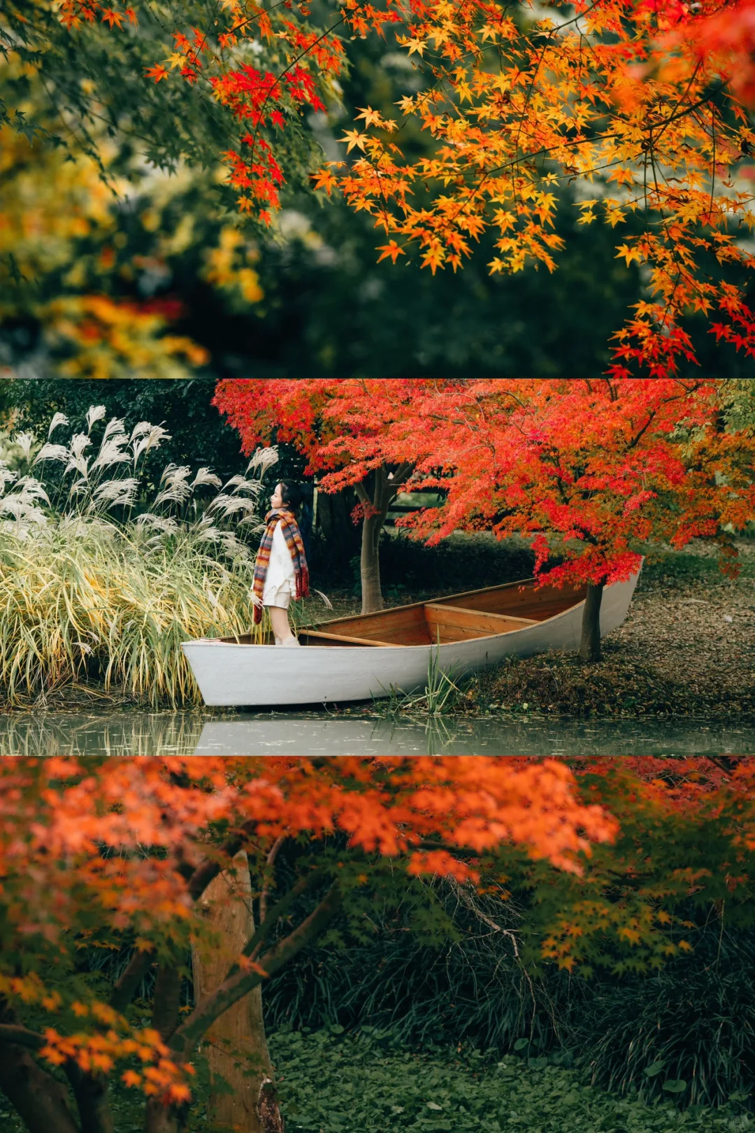 🍁上海赏枫天花板‼️阴天也很美