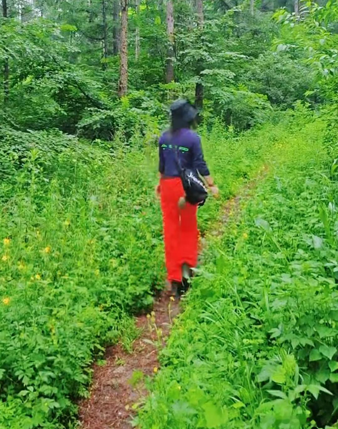 洋洋高锐·随风～随梦◎踏莎行……山间小路弯弯绕芬芳野花为谁……开◎站在山巅眺望…