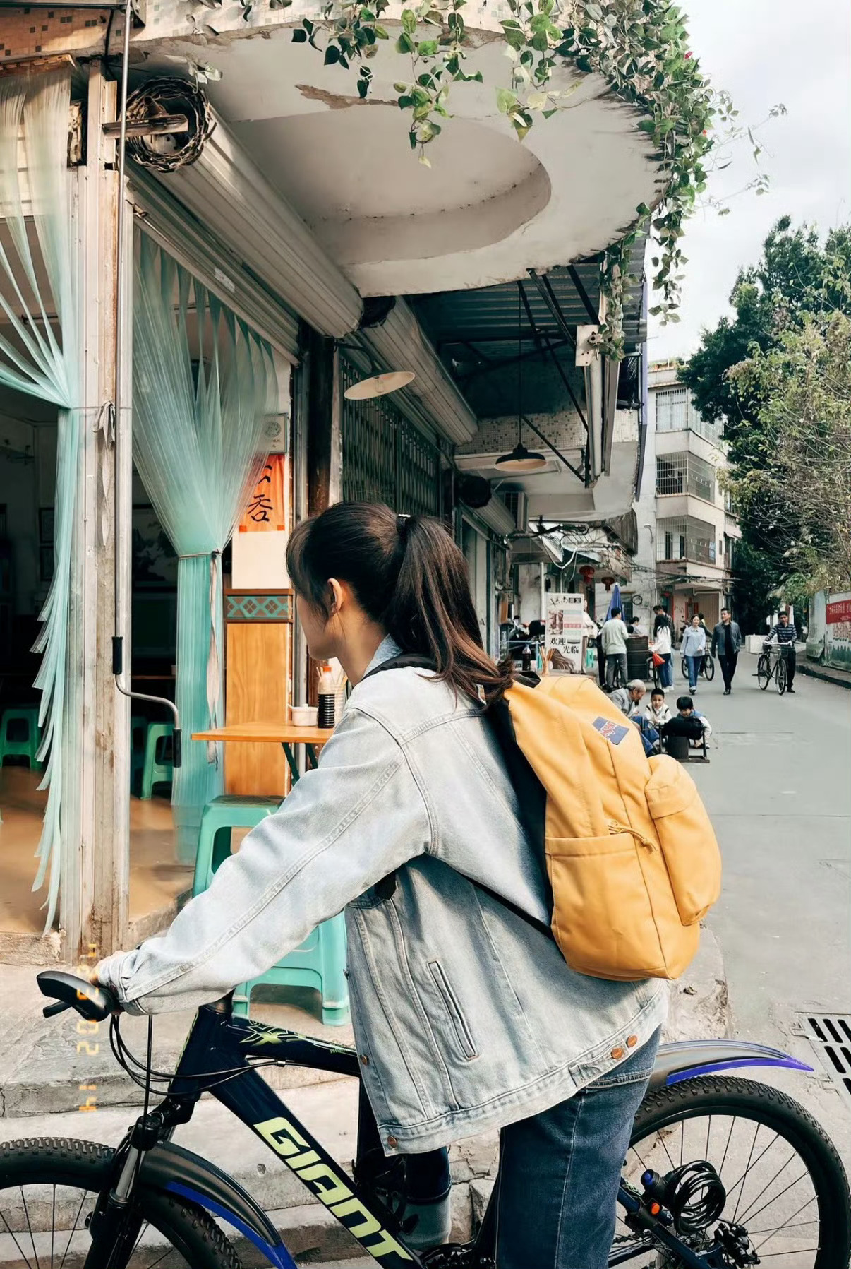 杨紫杨紫白菊 只管耕耘，好运气在等着你，一些新鲜、美妙的事也在向你走近。杨紫李祯