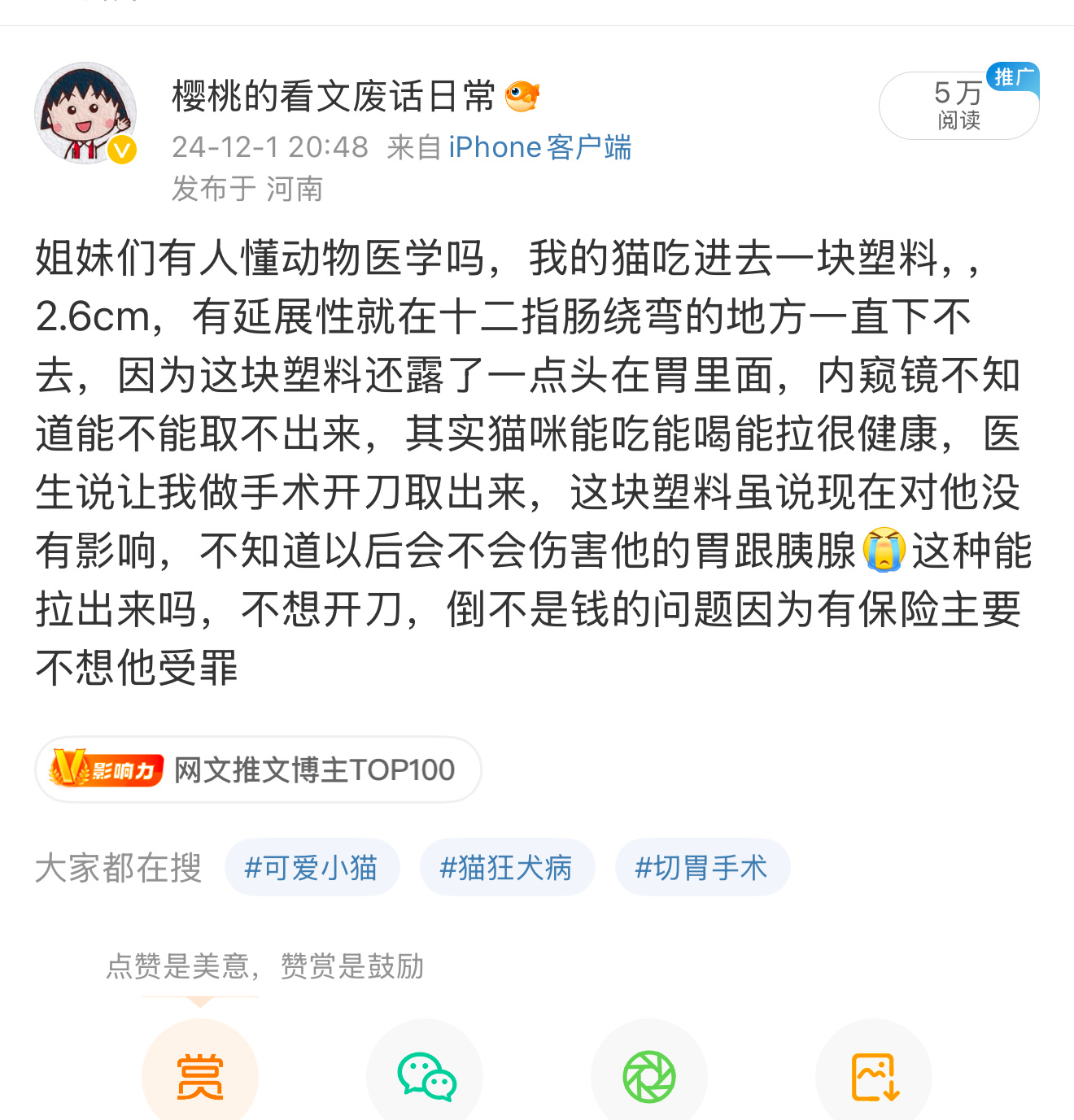 今天又去做彩超了[苦涩]塑料位置找不到了，找了整个胃整个肠道都没找到，找不到位置