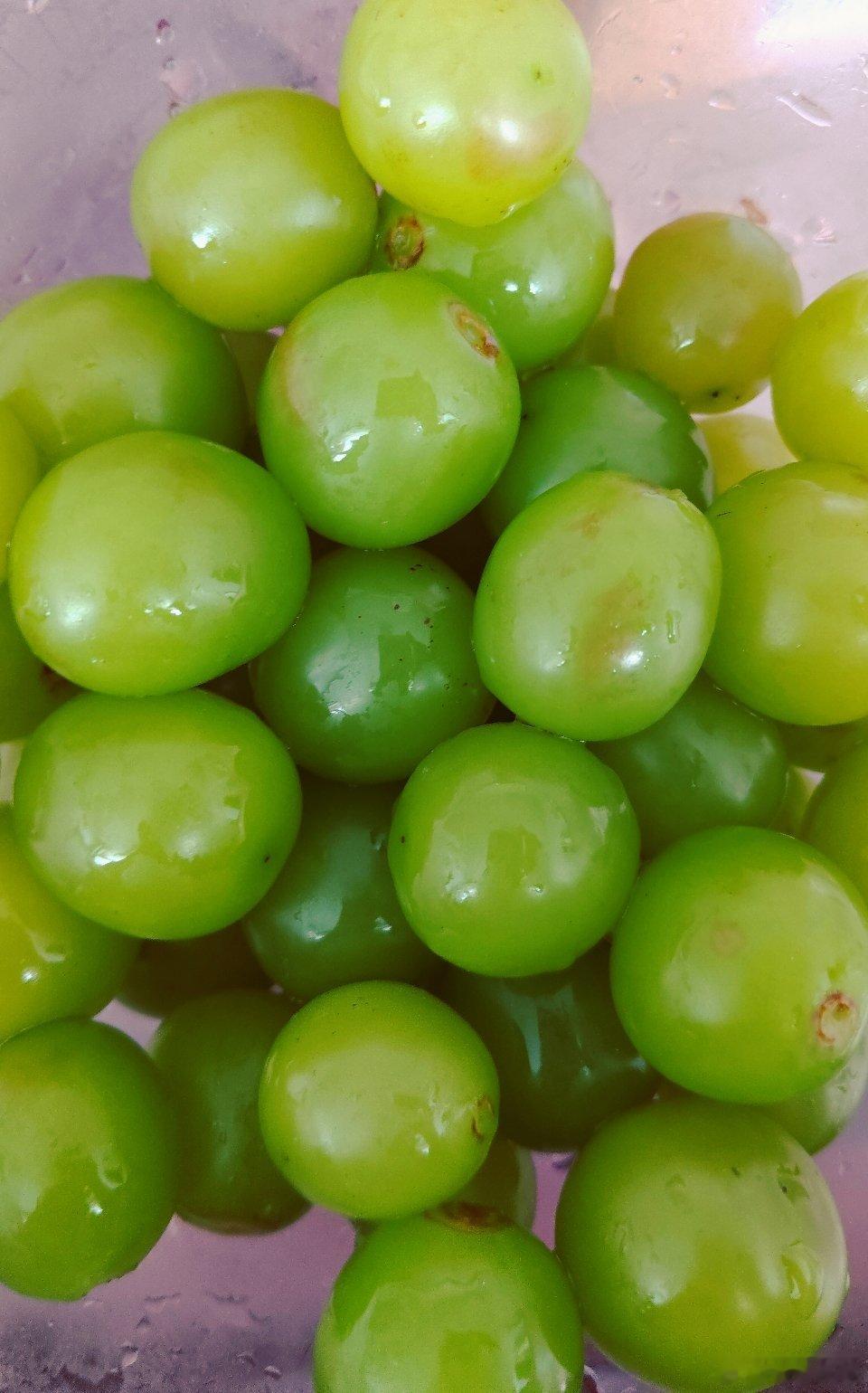 青提与晨光，都是今日份的甜。早安！ 