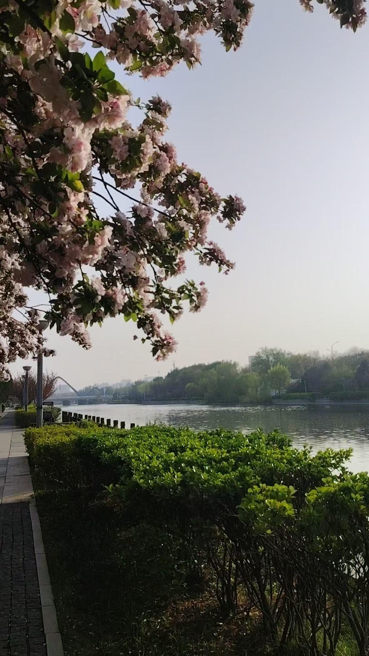 春日生活打卡季阳春扮美陡河