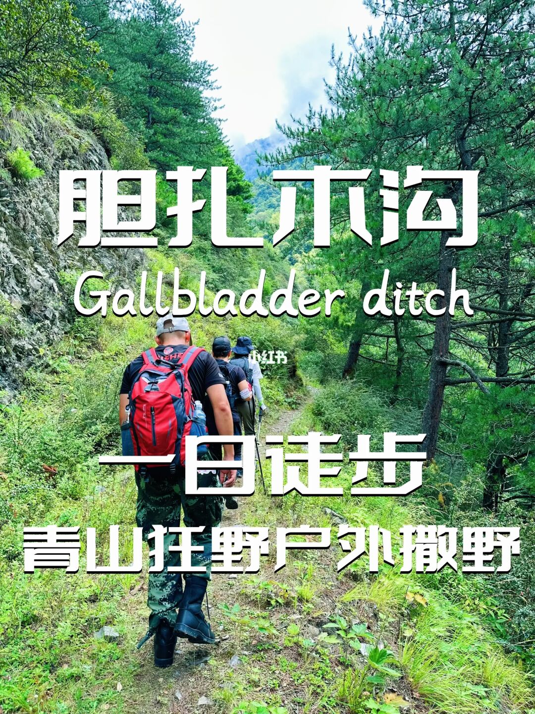 胆扎木沟｜心跳加速冲顶挑战