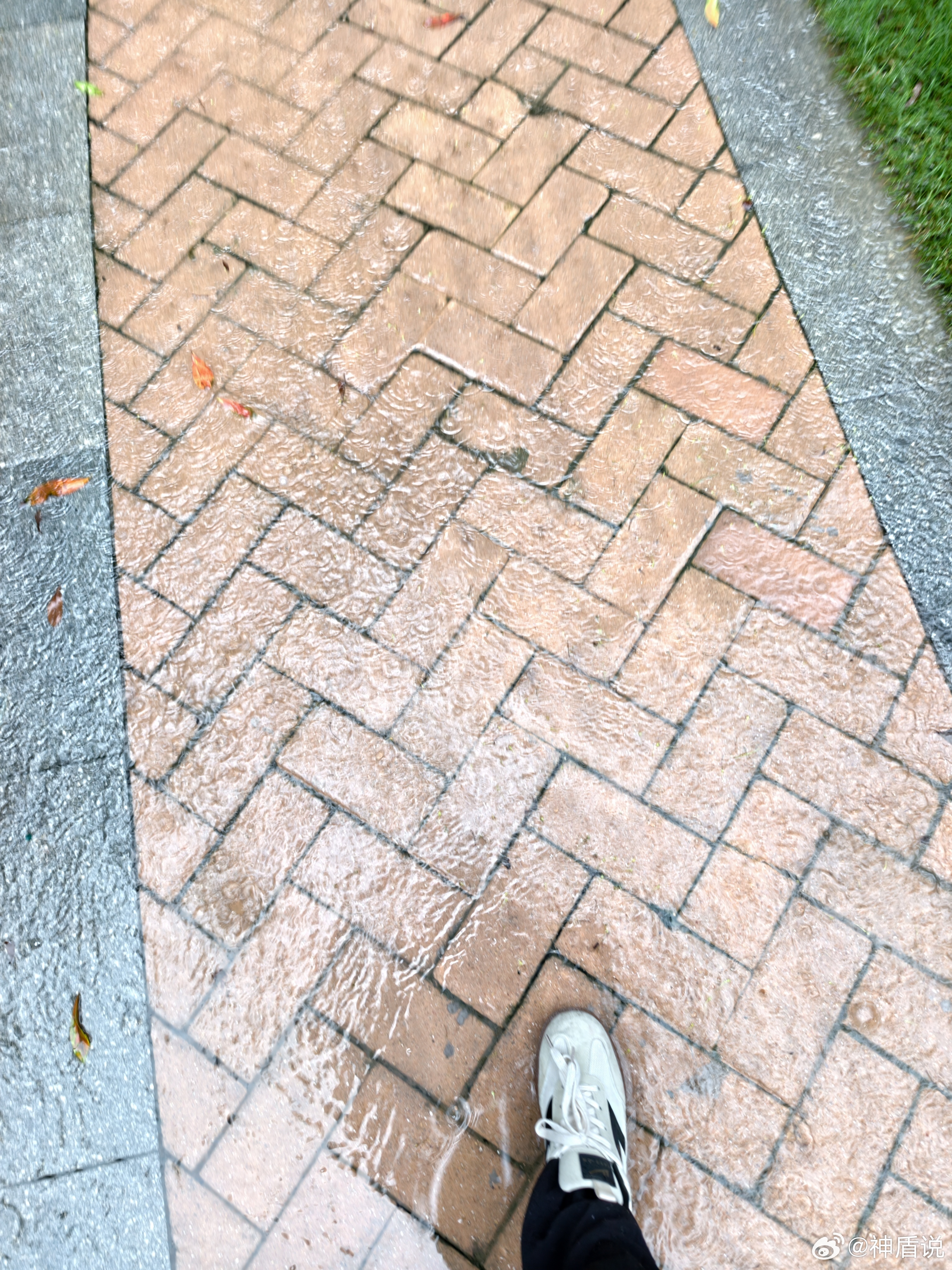 姜珮瑶回应踏水出行，大雨中漫步 
