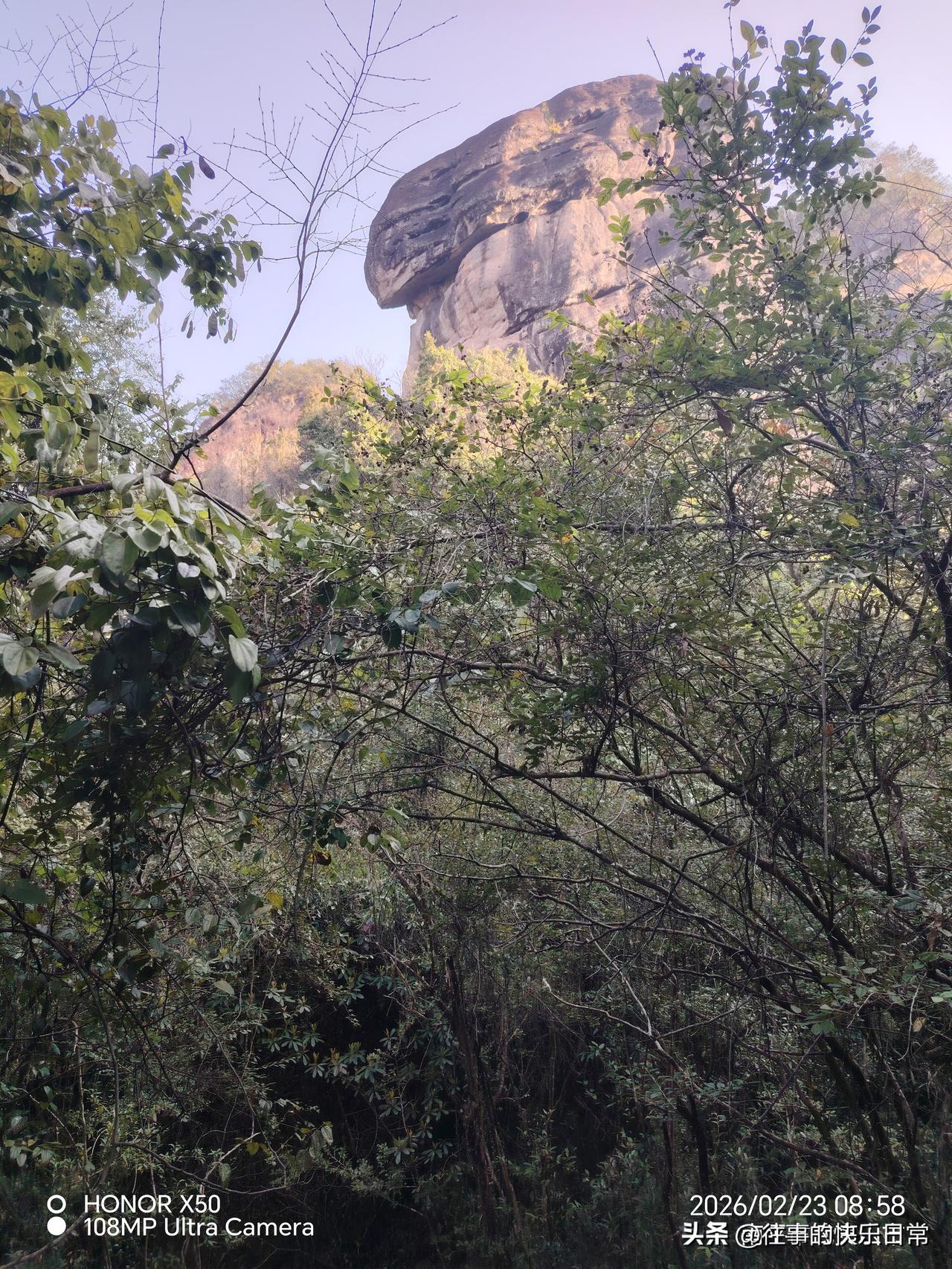 新年生活图鉴武夷山美景“新年生活图鉴”