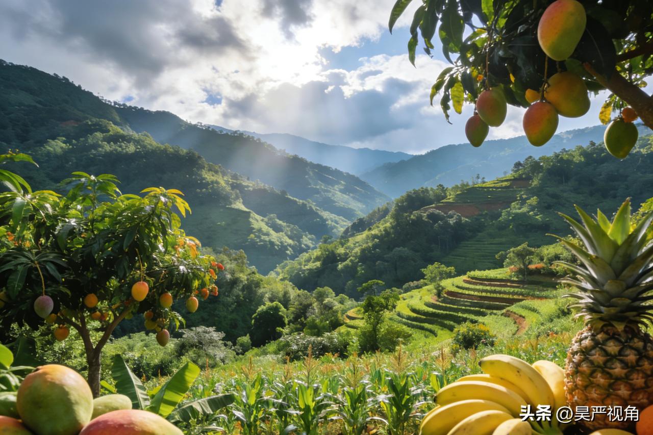 时常会刷到一些视频，大致内容是自驾游的博主们前往云南农村或是田间地头，碰到当地农