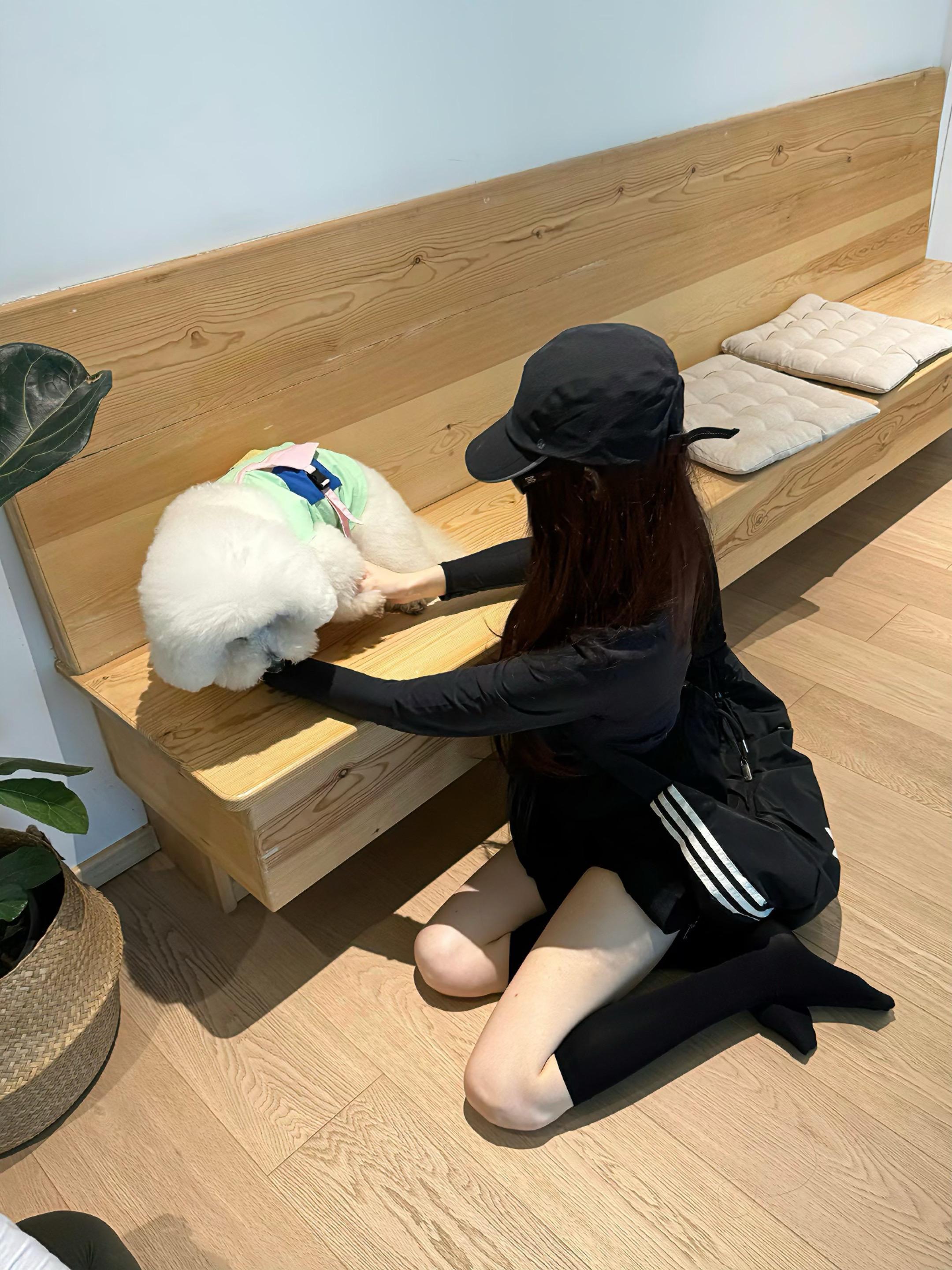 难哄小狗强制爱  穿搭御姐穿搭